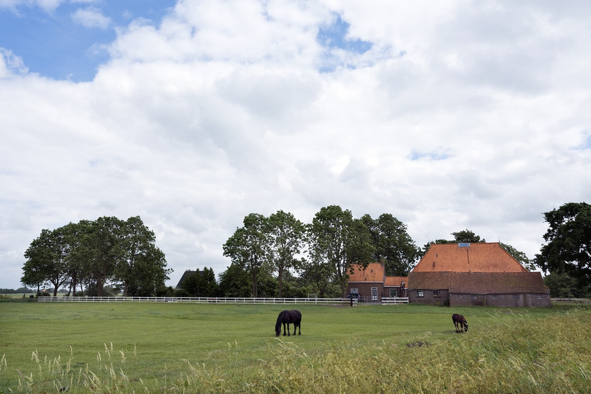 Woonboerderij met schuur, paardenbak en weiland 10,4% of 2% overdrachtsbelasting